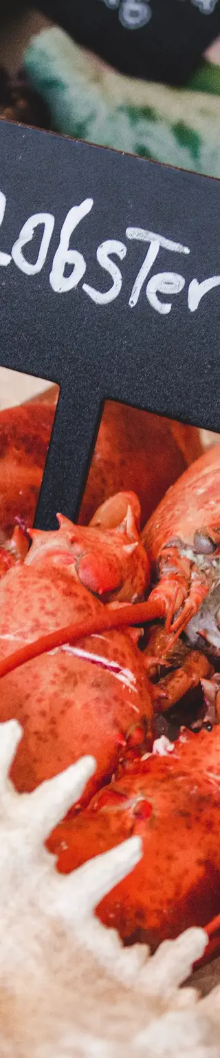 Geniesse den besten Lobster der Welt